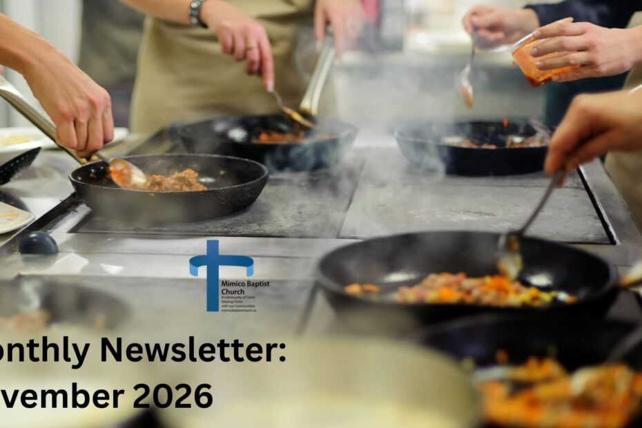 MBC News: November 2026